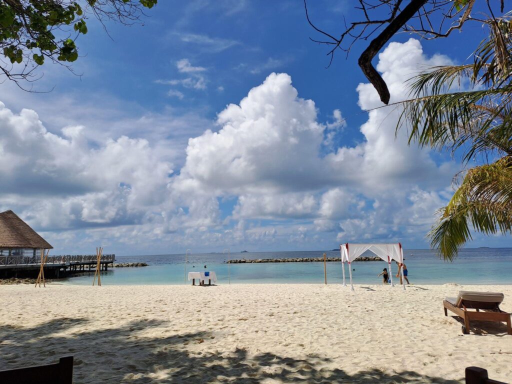 b6cikHRfHW0JHHiA5K3TnK6KPUXyqM1SPiURoTjVBXNEa5L7oLqdLytRHCRHCnqLb1x_6gBuP6d7SvKZXm5TJXspUw10grZIh6gSlH1YEsw